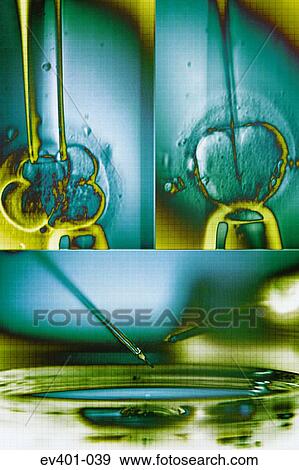Stock Photo - Laboratory testing. Fotosearch