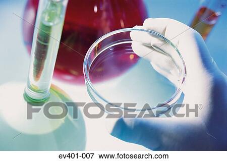 Stock Photo - Petri dish. Fotosearch