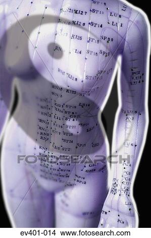 Picture - Traditional Chinese medicine. Fotosearch