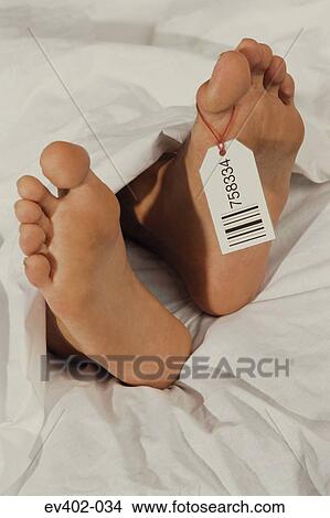 Picture - Corpse. Fotosearch