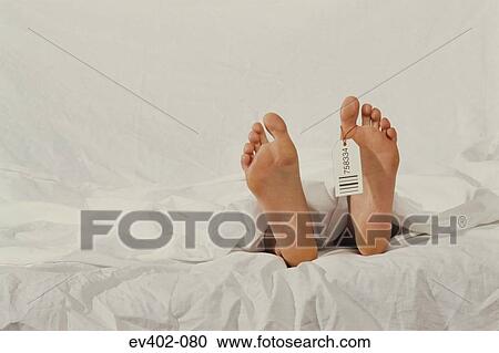 Stock Image - Corpse. Fotosearch
