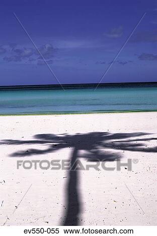 Stock Photography - Beach. Fotosearch