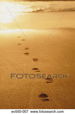 Footprints in sand View Large Photo Image Stock Photo - Footprints in sand. Fotosearch