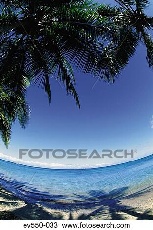 Tropical island View Large Photo Image Stock Image - Tropical island. Fotosearch