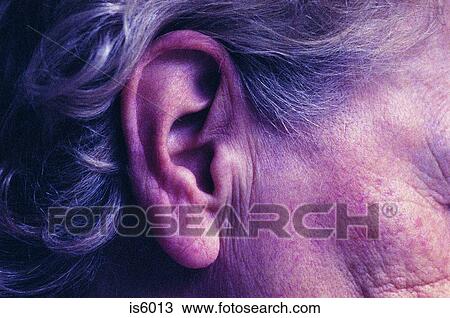 Ear View Large Photo Image Stock Image - Ear. Fotosearch