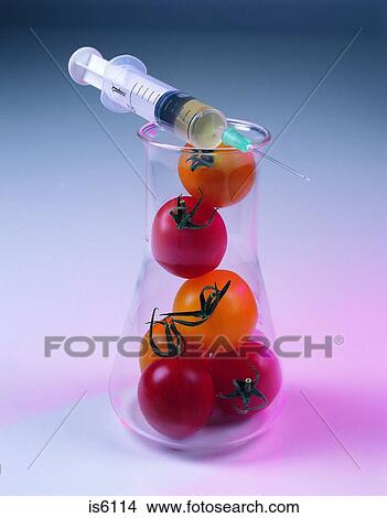 Picture - Gene technology. Fotosearch