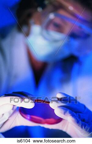 Petri dish View Large Photo Image Picture - Petri dish. Fotosearch