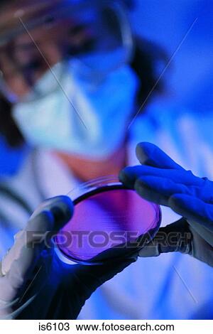 Stock Image - Petri dish. Fotosearch