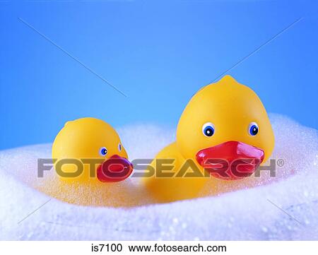 Ducks View Large Photo Image Stock Image - Ducks. Fotosearch