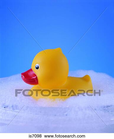 Ducks View Large Photo Image Stock Photo - Ducks. Fotosearch