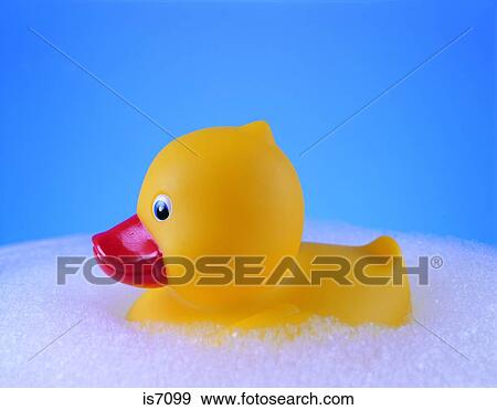 Stock Photo - Ducks. Fotosearch