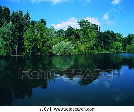 Lake View Large Photo Image Stock Image - Lake. Fotosearch