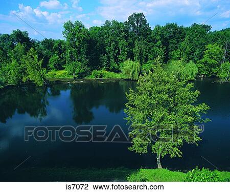 Lake View Large Photo Image Stock Image - Lake. Fotosearch