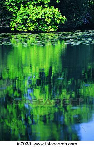 Lake View Large Photo Image Stock Photo - Lake. Fotosearch