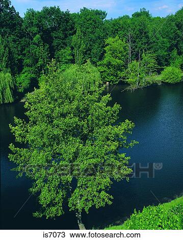 River View Large Photo Image Stock Image - River. Fotosearch