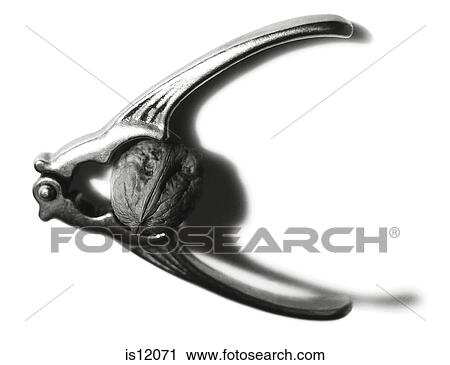 Stock Image - Nutcracker. Fotosearch