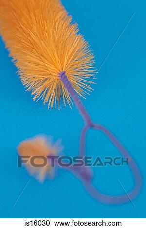 Cleaning brush View Large Photo Image Stock Image - Cleaning brush. Fotosearch