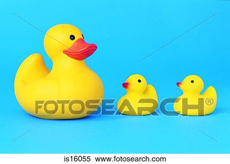 Ducks View Large Photo Image Stock Photography - Ducks. Fotosearch