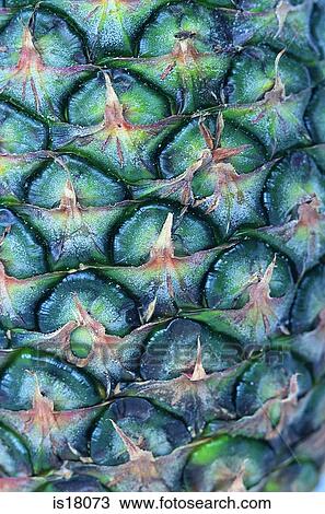 Stock Image - Cone. Fotosearch