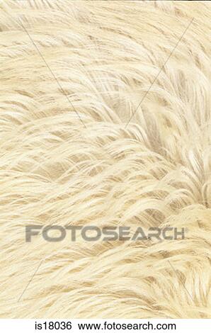 Fabric View Large Photo Image Stock Photograph - Fabric. Fotosearch