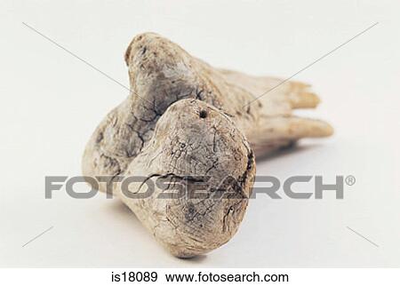 Stock Photo - Wood. Fotosearch