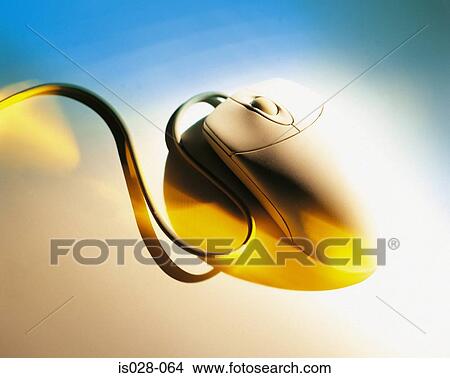 Picture - Computer mouse. Fotosearch