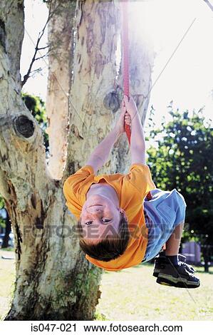 Boy swinging on a tree rope View Large Photo Image Stock Image - Boy swinging on a tree rope. Fotosearch