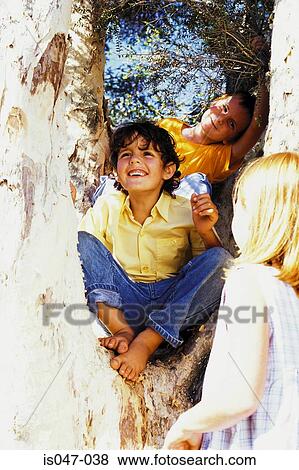 Children on a tree View Large Photo Image Stock Photo - Children on a tree. Fotosearch