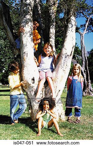 Friends playing on a tree View Large Photo Image Stock Image - Friends playing on a tree. Fotosearch