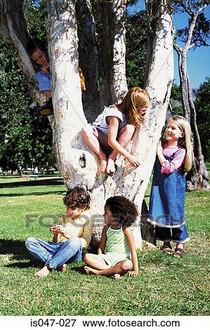 Kids playing on a tree View Large Photo Image Stock Photo - Kids playing on a tree. Fotosearch