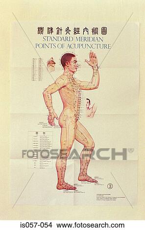 Acupuncture meridians View Large Photo Image Picture - Acupuncture meridians. Fotosearch