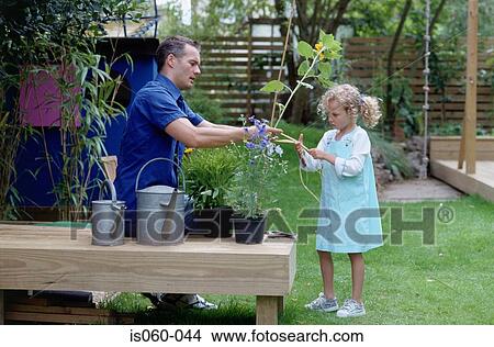 Father and daughter in garden View Large Photo Image Picture - Father and daughter in garden. Fotosearch