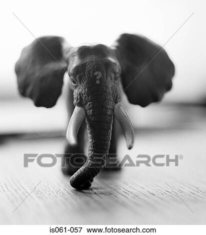Toy elephant View Large Photo Image Stock Photo - Toy elephant. Fotosearch