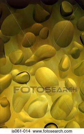 Water droplets View Large Photo Image Picture - Water droplets. Fotosearch