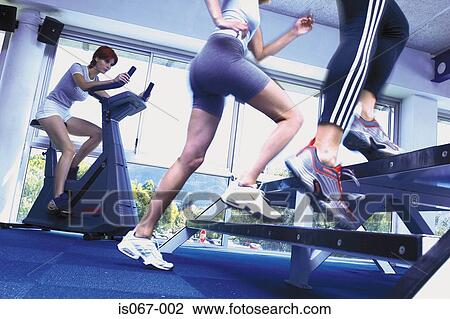 People in gym View Large Photo Image Stock Image - People in gym. Fotosearch
