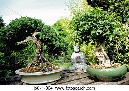Buddha View Large Photo Image Picture - Buddha. Fotosearch