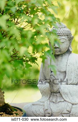 Buddha View Large Photo Image Stock Image - Buddha. Fotosearch