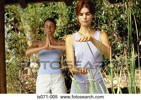 Yoga and Tai Chi View Large Photo Image Stock Photography - Yoga and Tai Chi. Fotosearch