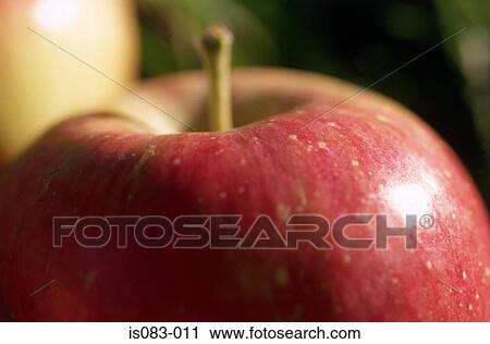 Apple View Large Photo Image Stock Image - Apple. Fotosearch