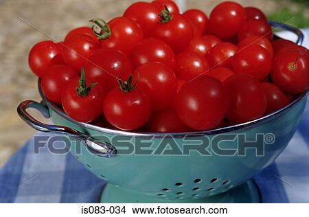 Bowl of tomatoes View Large Photo Image Picture - Bowl of tomatoes. Fotosearch