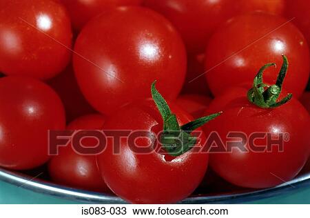 Bowl of tomatoes View Large Photo Image Stock Image - Bowl of tomatoes. Fotosearch
