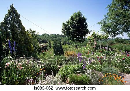 Flower garden View Large Photo Image Stock Image - Flower garden. Fotosearch