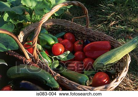 Fresh vegetables View Large Photo Image Picture - Fresh vegetables. Fotosearch