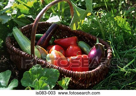 Fresh vegetables View Large Photo Image Stock Image - Fresh vegetables. Fotosearch
