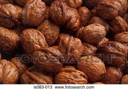 Organic walnuts View Large Photo Image Stock Image - Organic walnuts. Fotosearch