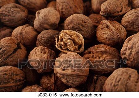 Stock Photography - Organic walnuts. Fotosearch
