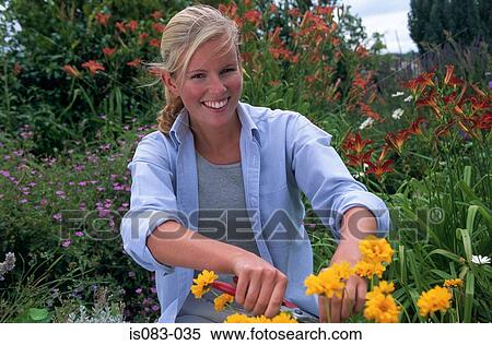 Woman cutting flowers View Large Photo Image Stock Photography - Woman cutting flowers. Fotosearch