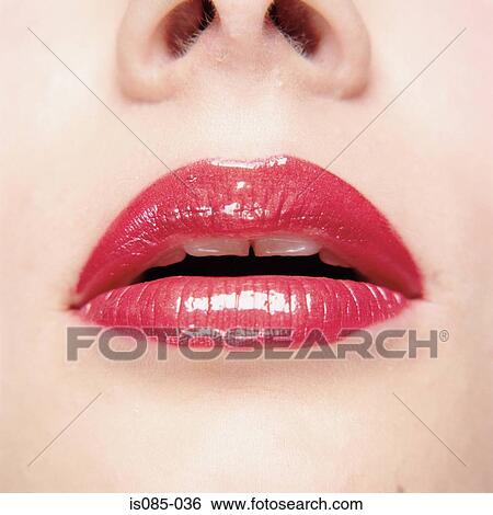 Female mouth View Large Photo Image Stock Photograph - Female mouth. Fotosearch