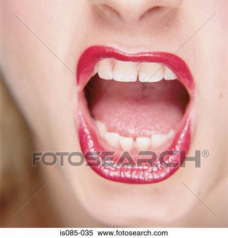 Female mouth View Large Photo Image Stock Photography - Female mouth. Fotosearch