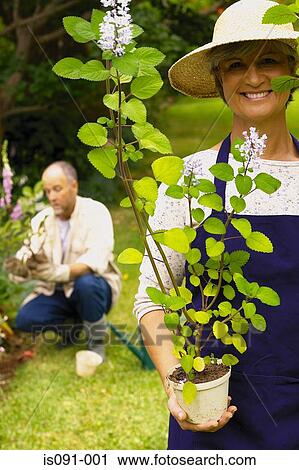 Couple in a garden View Large Photo Image Stock Image - Couple in a garden. Fotosearch